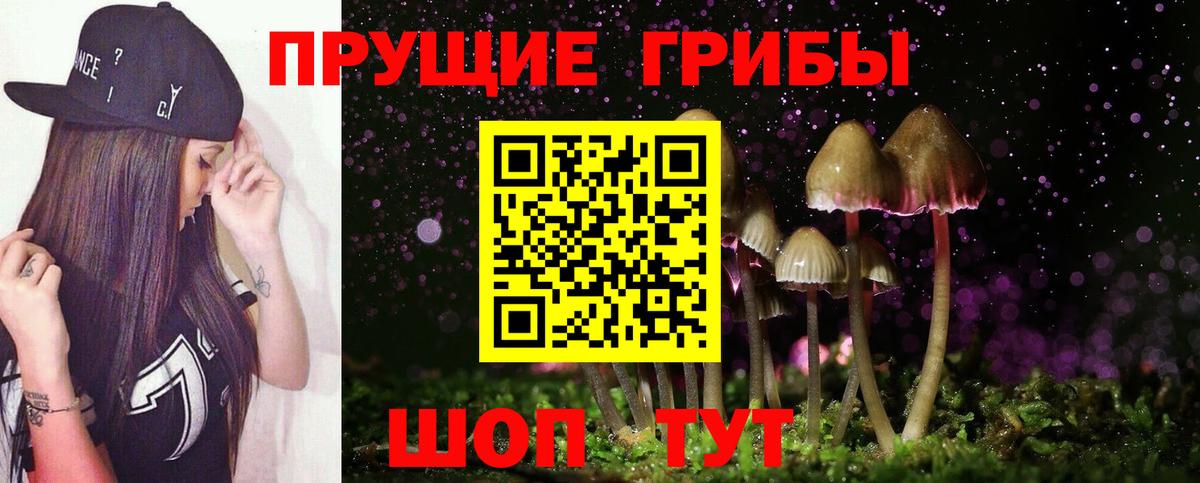 Псилоцибиновые грибы прущие грибы Ленинск-Кузнецкий