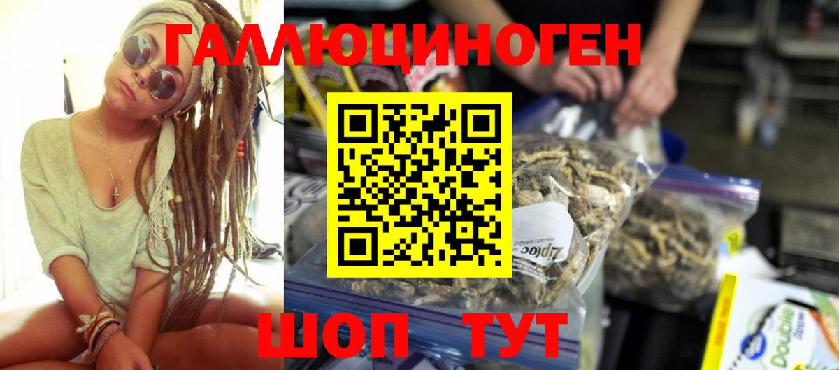 Ленинск-Кузнецкий  Псилоцибиновые грибы MAGIC MUSHROOMS  Псилоцибиновые грибы MAGIC MUSHROOMS  Вход с VPN 
